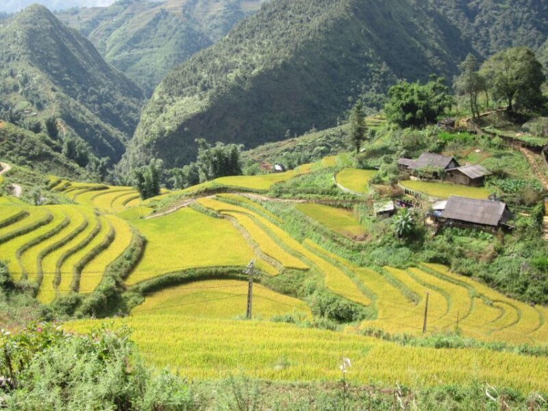 Private Hoang Lien National Park & Tribal Village Trek - Who Will Love This Tour?
