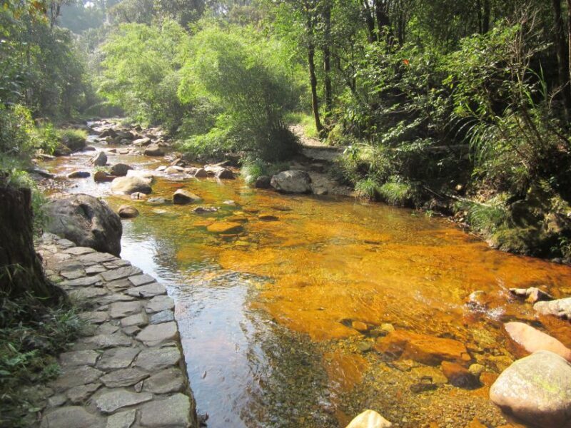 Private Hoang Lien National Park & Tribal Village Trek - FAQ