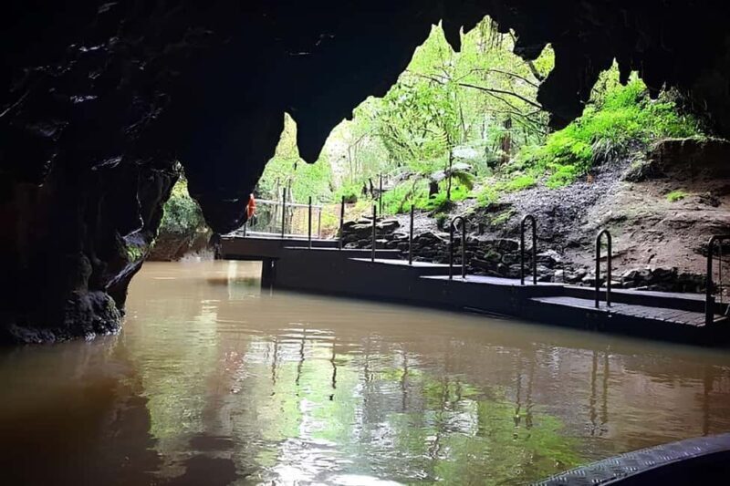 Private Hobbiton & Waitomo glowworm cave Day Trip - The Itinerary: What to Expect During the Day