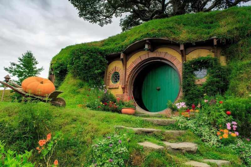 Private Hobbiton & Waitomo glowworm cave Day Trip - The Real Experience: What You’ll Love and What You Might Consider