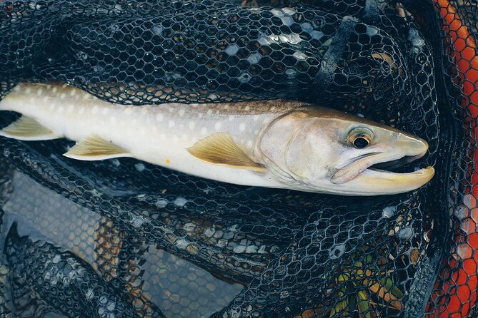 private-hokkaido-fishing-tour-with-a-licensed-fisherman