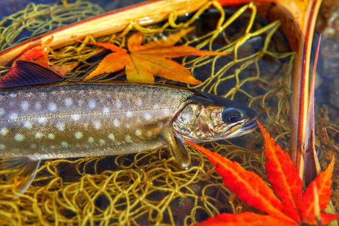 private-hokkaido-fishing-tour-with-a-licensed-fisherman