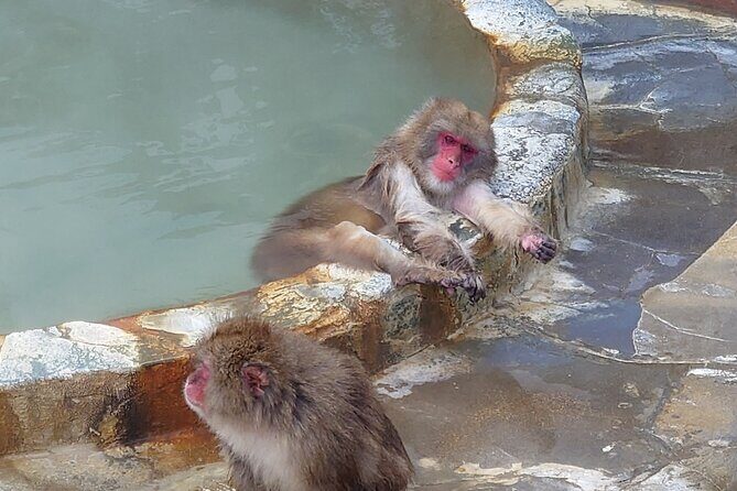 Private Hokkaido Guided 5 Day Tour with Transportation - Transportation and Comfort