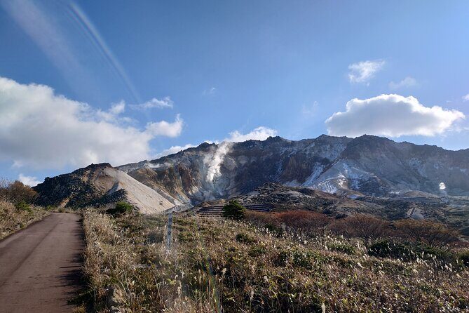 Private Hokkaido Guided 5 Day Tour with Transportation - Who Is This Tour Best For?