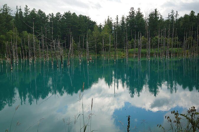 Private Hokkaido Guided 5 Day Tour with Transportation - The Sum Up