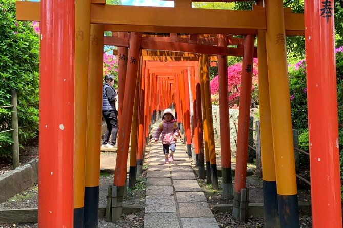 private-home-visit-style-tour-in-yanaka-with-local-experience