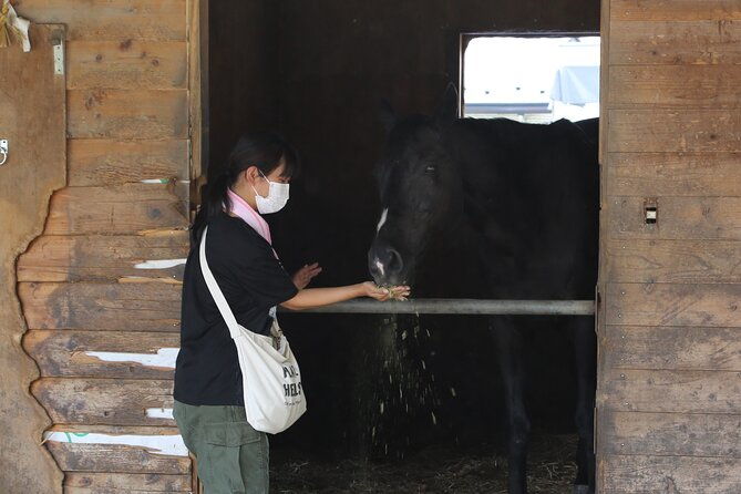 private-horse-interaction-sakura-experience-near-mt-fuji