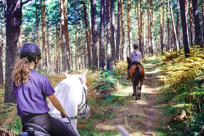 private-horse-ride-in-madrid-natural-park-reserve
