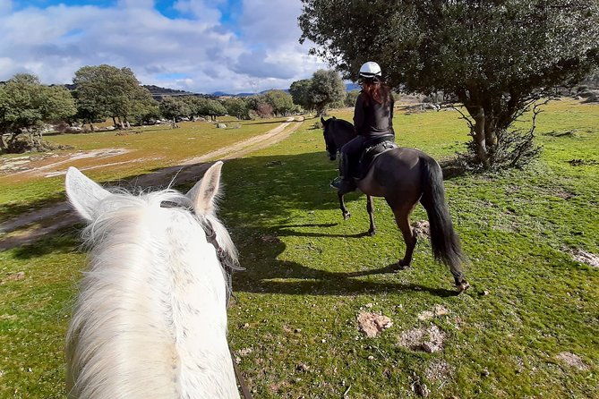private-horse-ride-in-madrid-natural-park-reserve