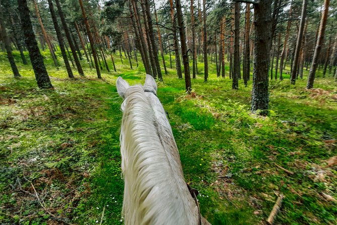 private-horse-ride-in-madrid-natural-park-reserve