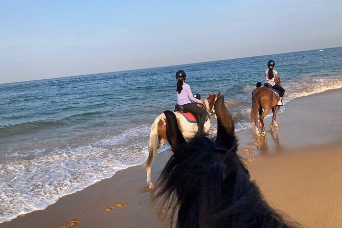 Private Horse Riding Activity in Port City - What Makes This Tour Stand Out?