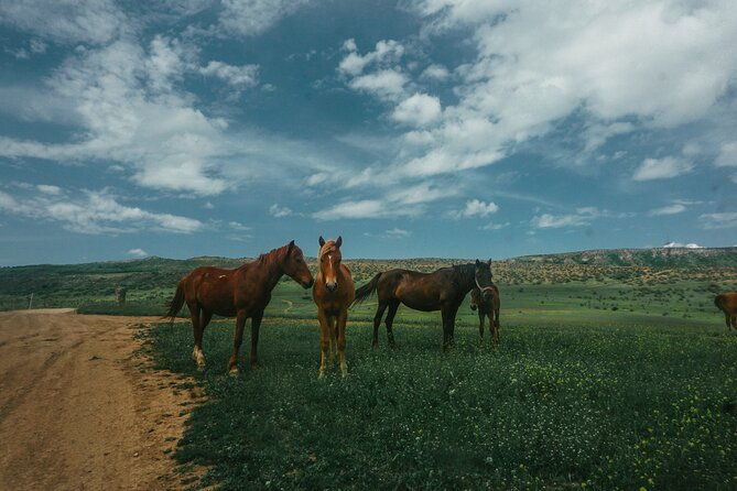 private-horse-riding-adventure-in-tbilisi