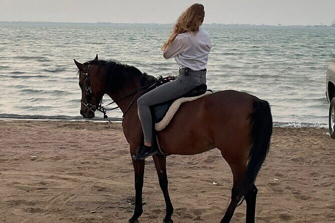 Private Horse Riding Experience at Red Sea - Final Thoughts