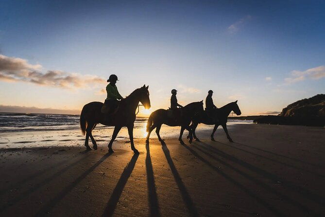 private-horse-riding-experience-in-kissamos-area