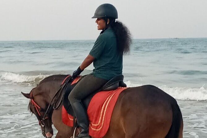 Private Horse Riding in Mount Lavinia - Private Horse Riding in Mount Lavinia: A Unique Seaside Adventure in Sri Lanka