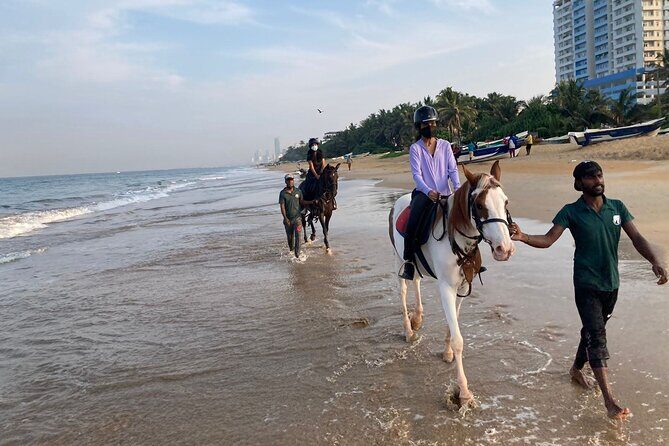 Private Horse Riding in Mount Lavinia - Key Points