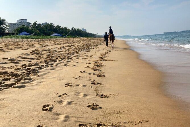 Private Horse Riding in Mount Lavinia - Who Should Consider This Tour?
