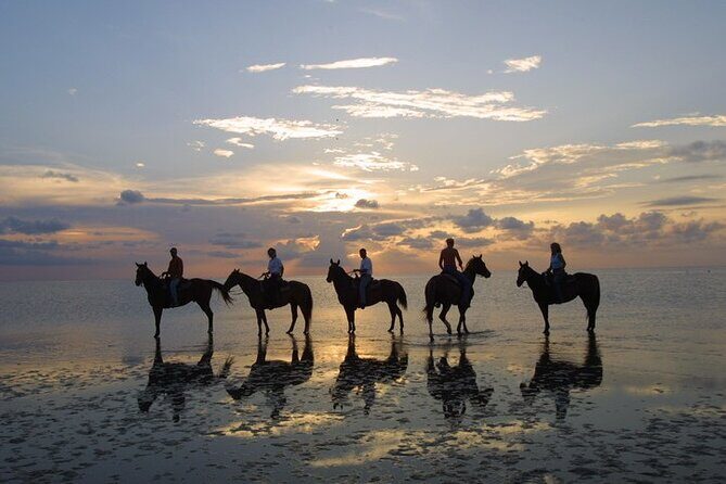 Private Horse Riding in Mount Lavinia - FAQ