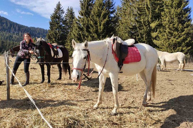 private-horse-riding-in-teteven-balkan-from-sofia