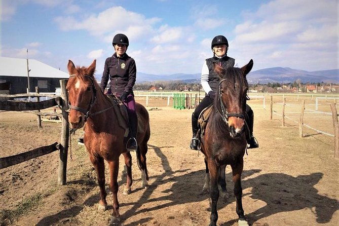 private-horse-riding-near-budapest-with-transport-2