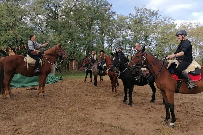 private-horse-riding-near-budapest-with-transport-2