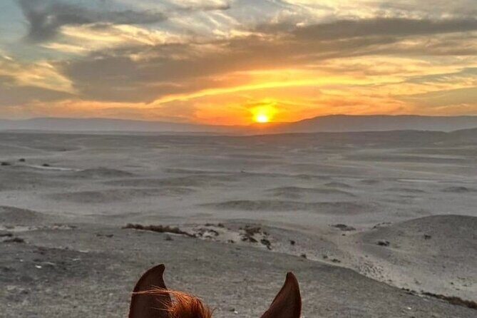 Private Horse Riding Tour in Luxor West Bank - What to Expect During Your Horseback Ride