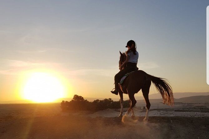 Private Horse Riding Tour in Luxor West Bank - Frequently Asked Questions