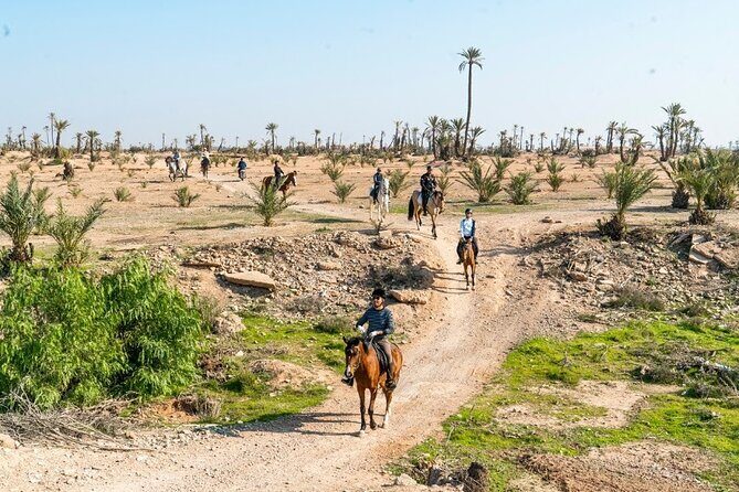 Private horseback ride in the Palmeraie of Marrakech - A Clear Overview of the Experience