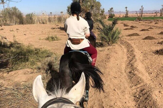 Private horseback ride in the Palmeraie of Marrakech - Authenticity and Cultural Connection