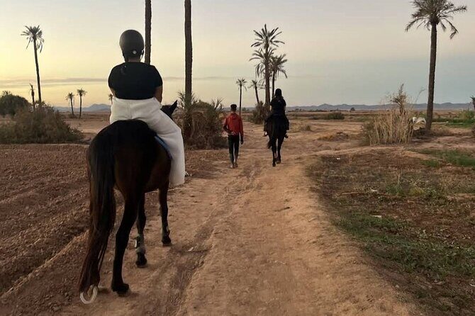 Private horseback ride in the Palmeraie of Marrakech - Value for Money
