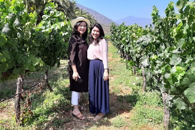 private-horseback-riding-and-wines-from-santiago
