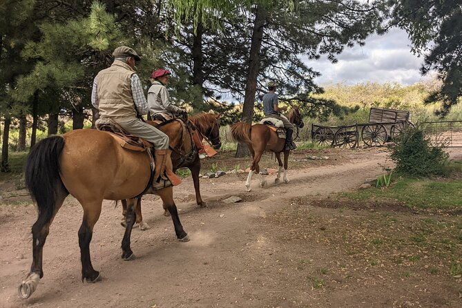 private-horseback-riding-at-the-foot-of-the-andes