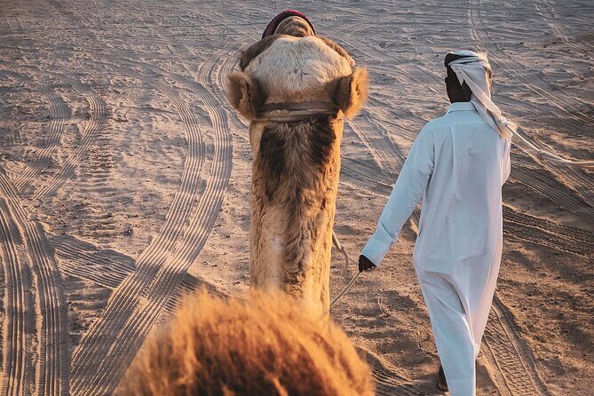 Private Horseback Riding Experience in Doha - Who Will Love This Tour?
