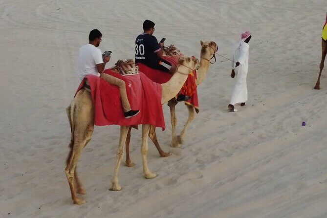 Private Horseback Riding Experience in Doha - The Sum Up