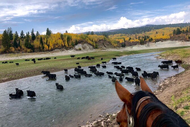 private-horseback-riding-in-wyoming