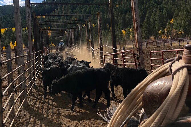 private-horseback-riding-in-wyoming