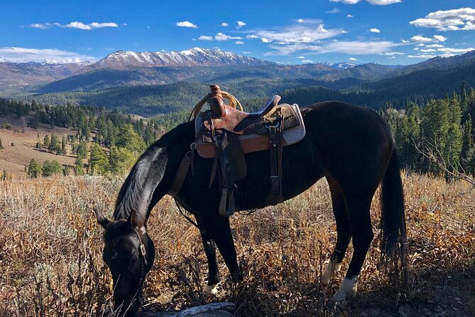 private-horseback-riding-in-wyoming