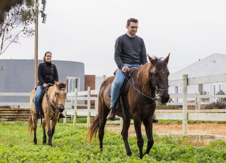 private-horseback-riding-picnic-on-the-beach