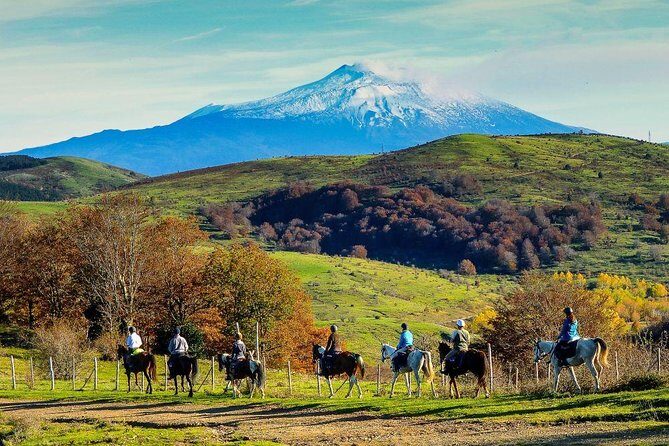 Private Horseback Riding Tour in Sicilian Countryside + Tradional lunch - What We Think: Who Should Try This?