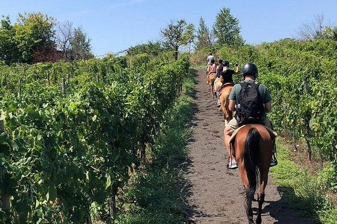 private-horseback-riding-tour-of-the-vineyards-in-verona-with-wine-tasting