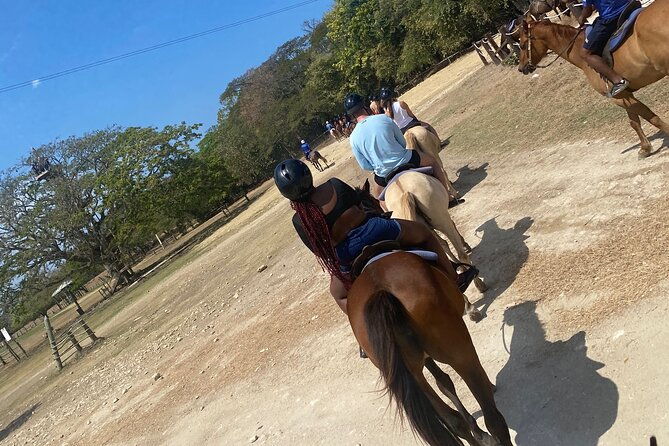 private-horseback-riding-with-blue-hole-river-tour-in-montego-bay