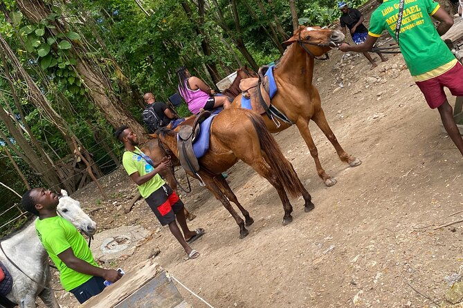 private-horseback-riding-with-blue-hole-river-tour-in-montego-bay