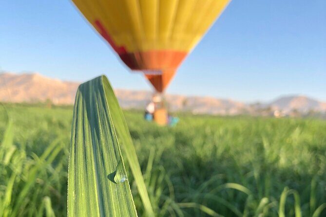 PRIVATE HOT AIR BALLOON IN LUXOR RIDE IN SMALL LUXURY GROUP FLIGHT up to 12 - A Closer Look at the Hot Air Balloon Experience in Luxor