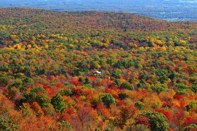 private-hudson-valley-fall-foliage-helicopter-charter-from-manhattan