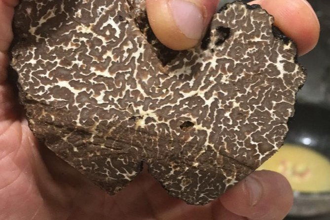 private-hunting-of-truffle-and-mushrooms-with-chef-luigi-gandola-in-bellagio-2