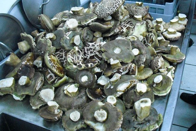 private-iberian-ham-tour-to-the-sierra-de-aracena-2