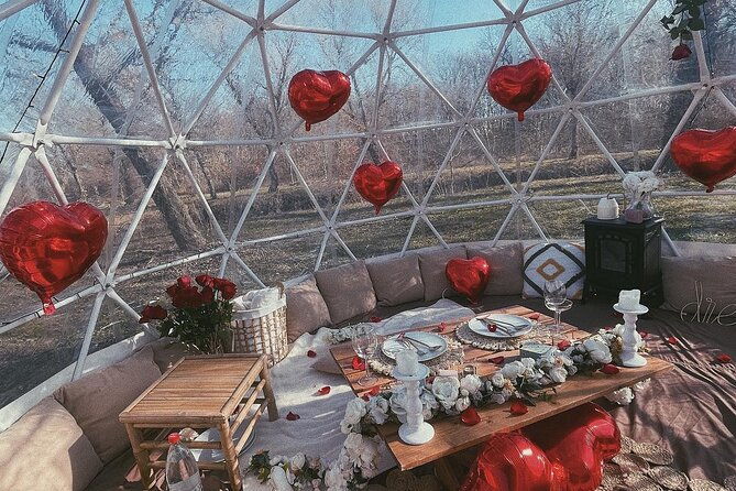private-igloo-picnic-experience-hungary