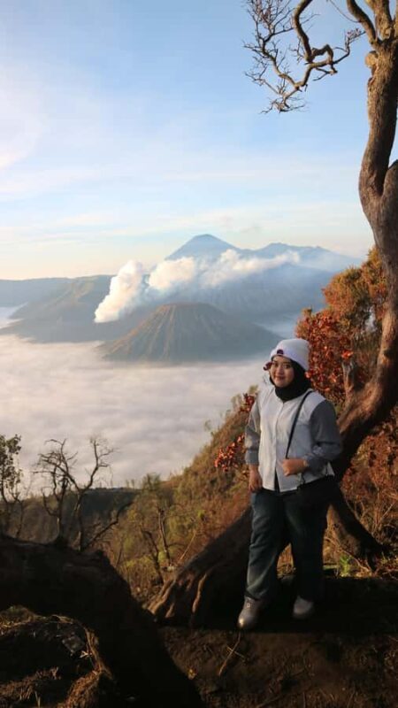 Private Ijen & Bromo Tour : starts from Surabaya/malang - The Sum Up