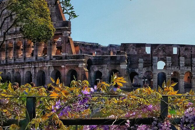 private-immersive-colosseum-tour