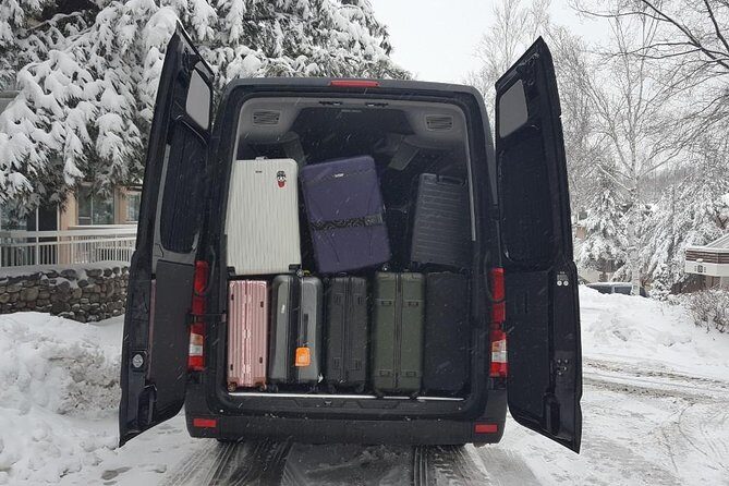 Private Incheon Airport Transfer  Alpensia/Yongpyong/Pyeongchang - Potential Drawbacks and Considerations